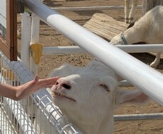 うなずきます。味方になります イメージ1