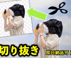 即日納品可／画像の切り抜き・背景の合成します 広告やポスター、動画など汎用性の高い画像切り抜きします！