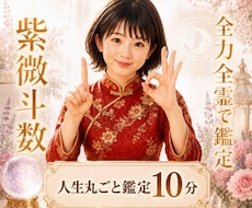 10分♥️ 紫微斗数お試し鑑定人生丸ごと鑑定します イメージ1