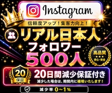 インスタ✦リアル日本人フォロワー500人増加します イメージ1