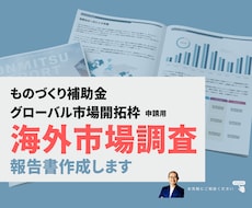 経営コンサルタントが海外市場調査を行います イメージ1