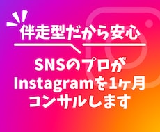 SNSのプロが1ヶ月インスタグラムのコンサルします 目的に応じたプロフィール添削、投稿添削、導線設計を行います！