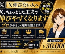 X投稿を30日間アクティブに拡散サポートします イメージ1