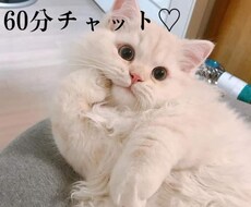 お試し1時間♡貴方の悩みに寄り添います イメージ1
