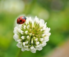 身近な人には言えないことを何でもお聞きします イメージ1