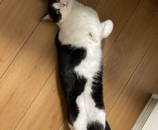 なんでも聞きます イメージ1