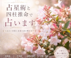 占星術と四柱推命で占います イメージ1