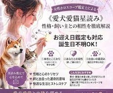愛犬愛猫星読み》ペットの気持ち・相性・絆を占います イメージ1