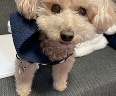 うつ経験者があなたのお話を聞いて助けます イメージ1