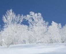 北海道の観光地、旅行プランを提案します 北海道旅行の観光スポット教えます