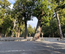 2026年総合運、仕事、人間関係の流れを霊視します