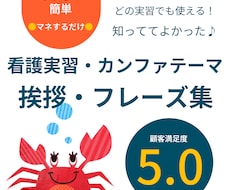 発表・報告【初めての看護実習】事例あります 【PDF・スマホOK】マネして、●●を埋めて、話すだけ♪