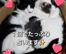 彼の気持ち出会いの時期、丁寧にたっぷり占います 恋愛に限らずその他全体運も占います。なんでもお話しください
