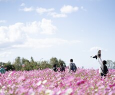 フォトレタッチ代行します イメージ1