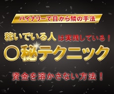 バイナリーオプションの相談、ツールが買えるサイト | ココナラ