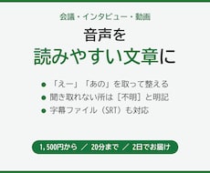 音声・動画を読みやすい文章に文字起こしします イメージ1