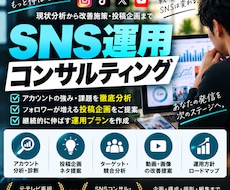 あなたのSNS運用サポートいたします イメージ1