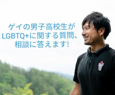 ゲイの男子高校生が質問などに答えます イメージ1
