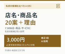店名や商品名の候補20案を理由付きで提案します 名前と一言の理由を、比べて選べる20案に