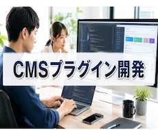 WordPressのプラグイン開発を致します イメージ1