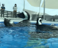 たわいもない話聞きます イメージ1