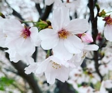 お子様のママの相談お話し相手をします イメージ1