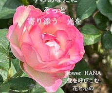 お悩みを占いで読み解き、文章で丁寧にお届けします