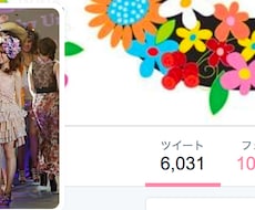 【最安】ツイッター拡散！ジャンル分けが鉄則！各ジャンルフォロワー1〜2万人 合計30万人以上！