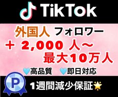 TikTokのフォロワー2000人増やします TikTokのフォロワー増やします！振り分け可能◎保証あり