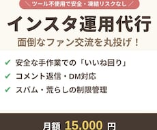インスタ運用代行DM・コメント、いいね周り承ります 【手作業で安全】インスタの対応を30日間丁寧に代行します