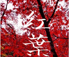 インスタ映えな写真＋手書文字入れします イメージ1