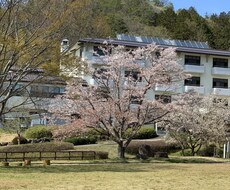 SAD（社会不安症）で悩んでいる方の相談のります イメージ1