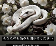 何でもお悩み相談下さい。お悩み1件につき1枚引ます
