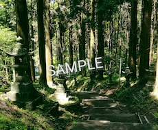写真素材セットを提供します イメージ1
