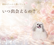 出会い│恋愛・婚活の悩み│霊感タロットで占います マッチングアプリ│出会いの時期│運命のご縁