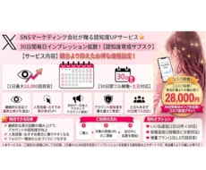 Xインプレッション毎日1万回30日間拡散します イメージ1