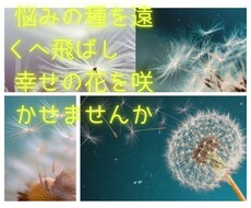 あなたの悩みの本当の種を一緒に探します イメージ1