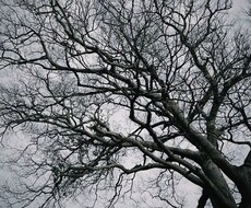 風景の写真を撮ります イメージ1