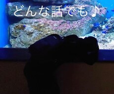話したい！私も同じ気持ちです✨お話お聴きします イメージ1