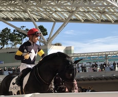 中央競馬の予想をお届けします 競馬！血統、展開予想を駆使して信頼度の高い軸馬をお届け！
