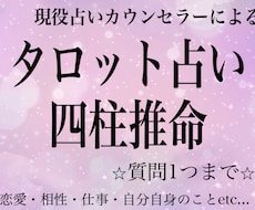 現役占い師が《じっくり鑑定》致します タロット＋四柱推命にて徹底鑑定＋具体的なアドバイス贈ります