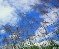 お話相手★なんでも聞きます