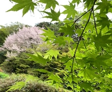 旅行行程考えます イメージ1