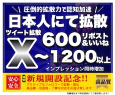 X(Twitter)600RT&いいね拡散します イメージ1