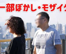 動画にぼかしやモザイク処理します 動画の一部分にぼかし処理やモザイク。