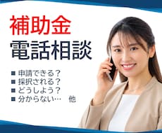 補助金申請全般、電話で相談できます イメージ1