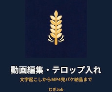 動画にテロップを入れて見やすく仕上げます イメージ1