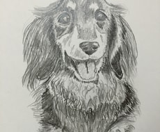 ワンコの似顔絵(鉛筆画)を描いています イメージ1
