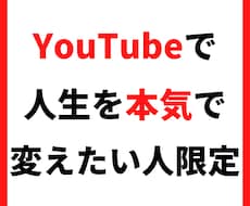 YouTubeで集客・販売に特化したコンサルします イメージ1