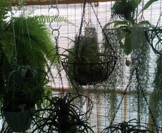 愚痴!話ししたいだけ!相談待ってます イメージ1